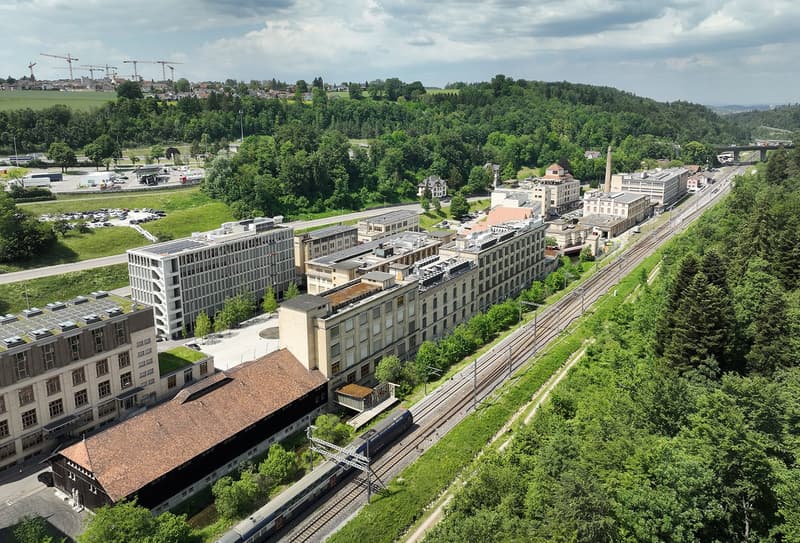 Superficie rappresentativa al piano terra con charme di edificio storico in The Valley (1)