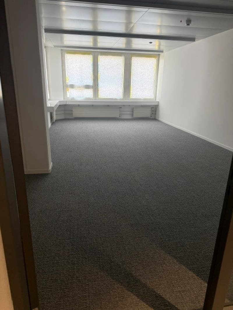 Renovated office space (2 rooms) (3)