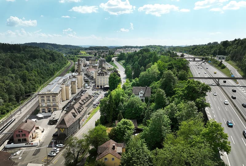 650 m² Raum für Ihre Vision – Rohbaufläche mit Industriecharakter im The Valley (3)
