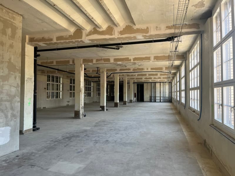 650 m² Raum für Ihre Vision – Rohbaufläche mit Industriecharakter im The Valley (4)