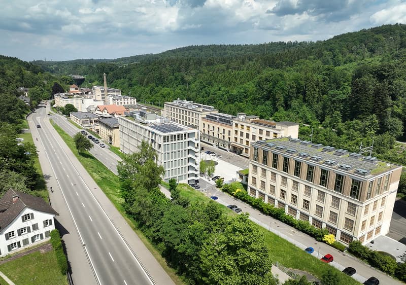 650 m² Raum für Ihre Vision – Rohbaufläche mit Industriecharakter im The Valley (2)