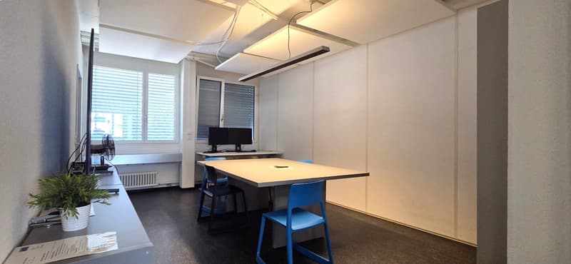 Arbeiten mit Sicht in die Natur und doch zentral (6)