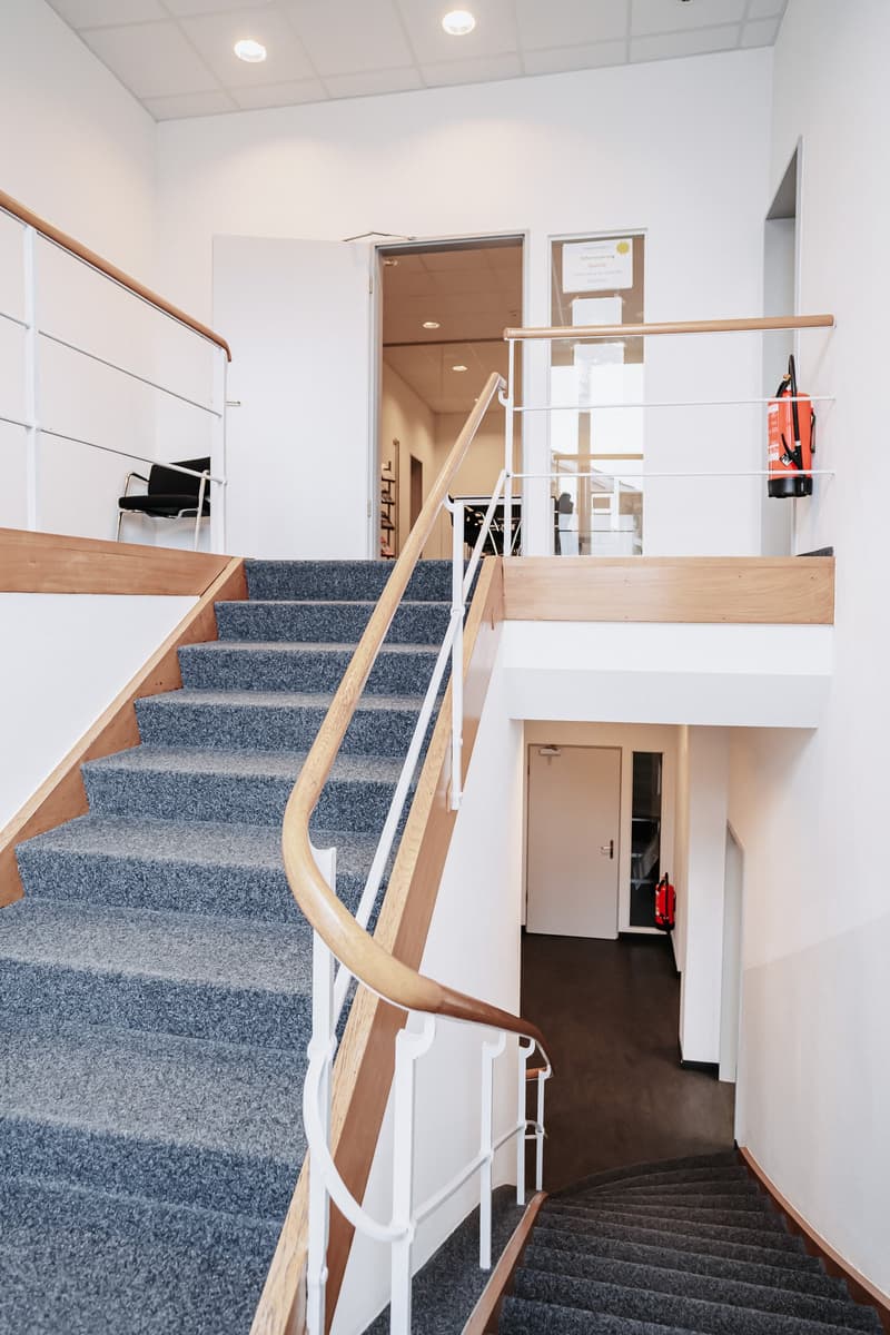 Carpeted steps, wood and metal railing, modern design, two fire extinguishers visible