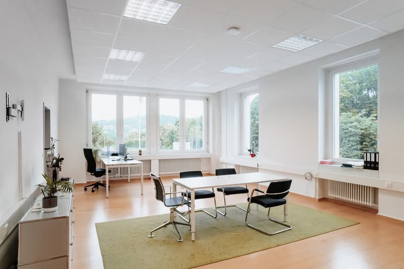 Empty office room with large windows, a desk, a meeting table with 4 chairs, a radiator, potted plants on the desk, and wooden floor.