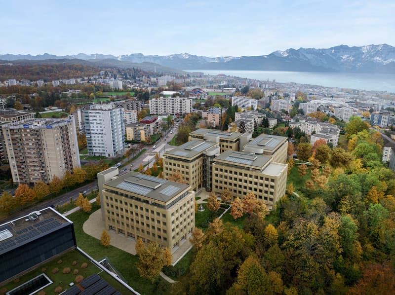 Urban skyline, multiple buildings, trees, solar panels, mountains in the background, lake at a distance