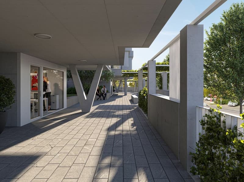 Progetto di costruzione Meienberg Twins - La tua casa dei sogni moderna (10)
