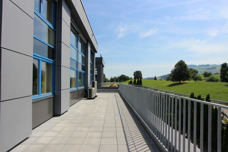 Vielseitige Gewerbe- und Bürofläche mit Lager - an attraktiver Lage in Wollerau (3)
