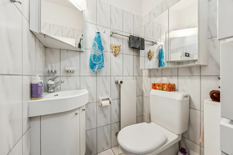 4.5-Zimmer Wohnung - Wohnen in Rapperswil-Jona (9)