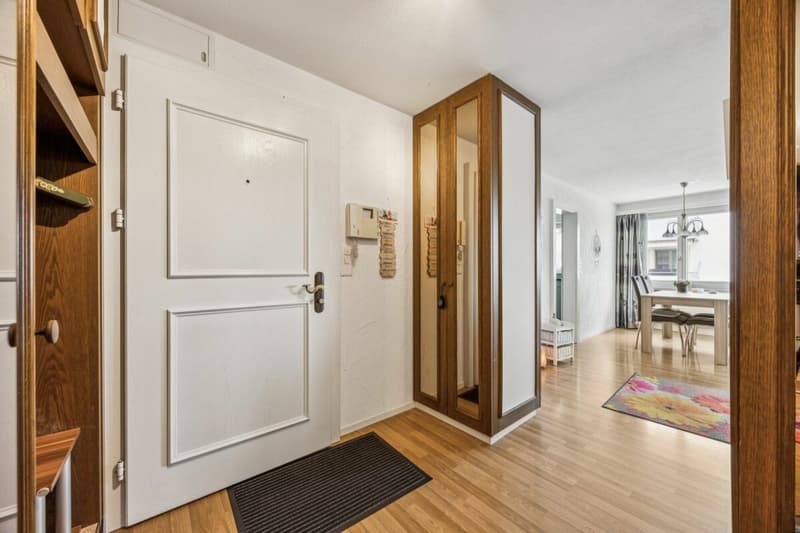 4.5-Zimmer Wohnung - Wohnen in Rapperswil-Jona (4)