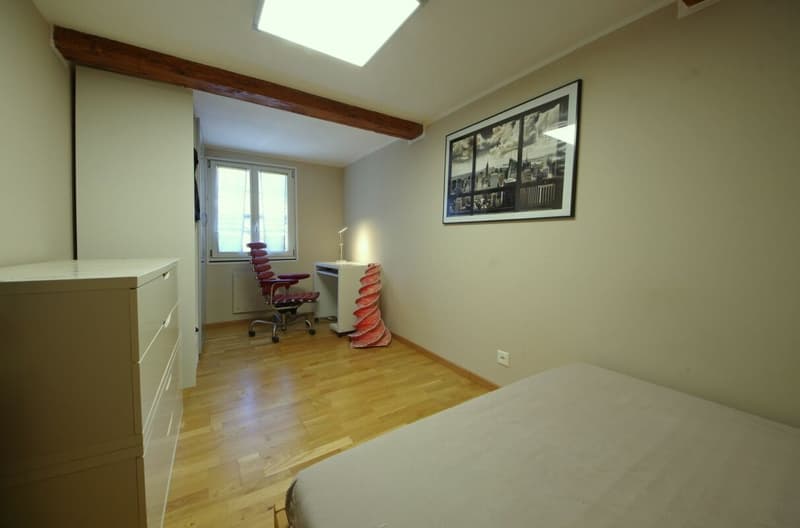 Newly Renovated (9)