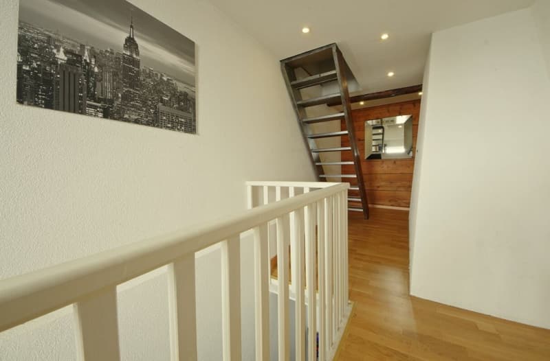 Newly Renovated (8)