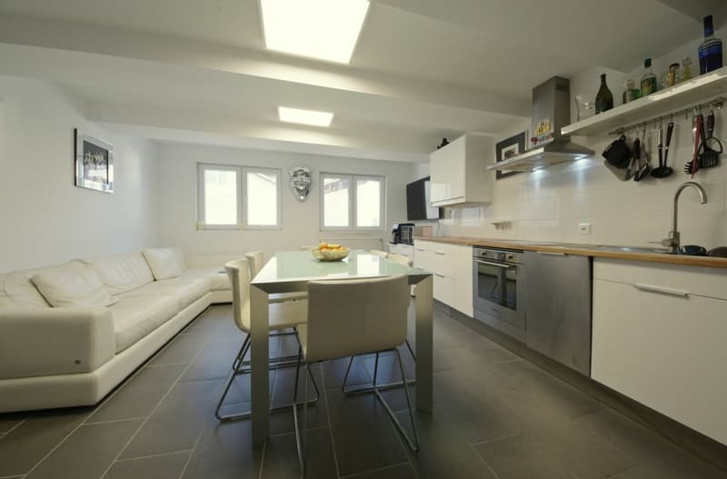 Newly Renovated (4)