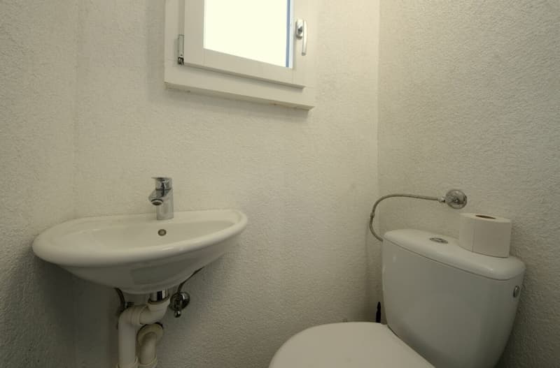Newly Renovated (13)