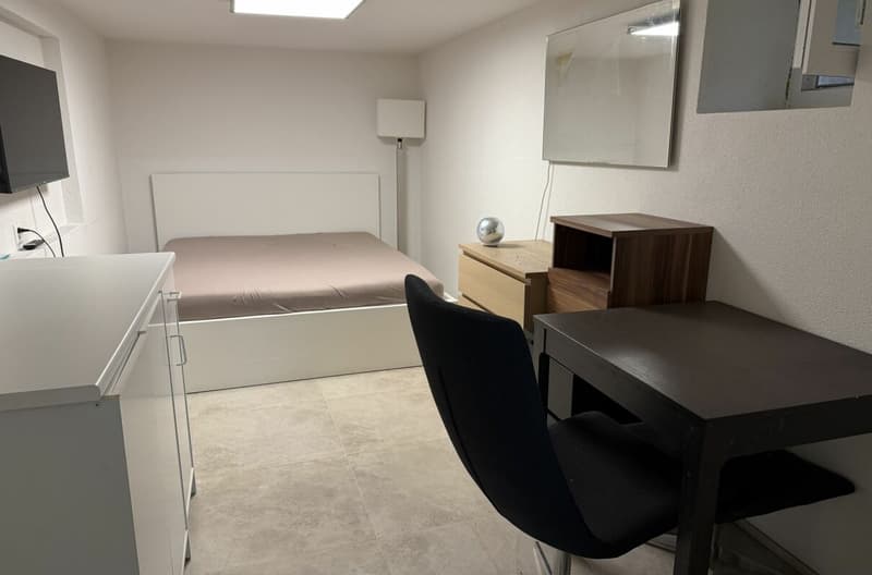 Newly Renovated (12)