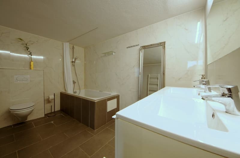 Newly Renovated (7)