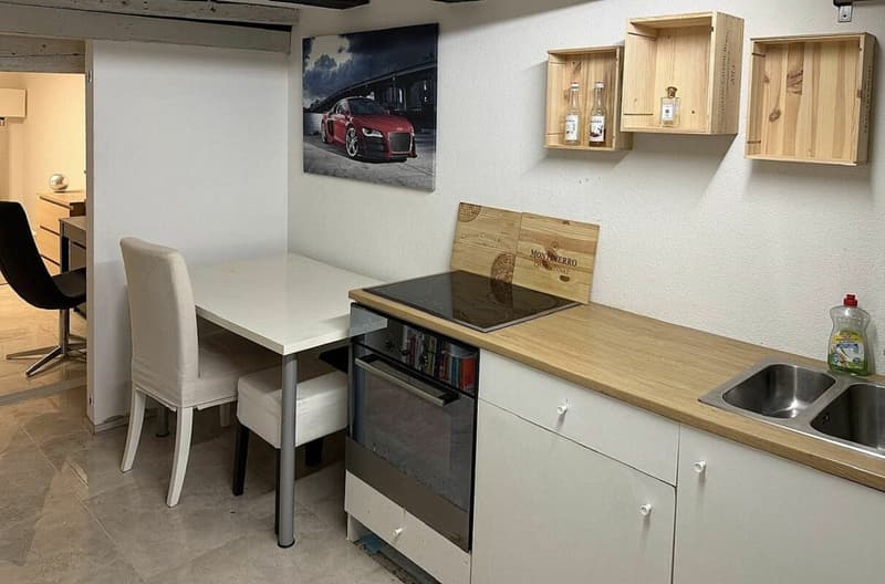 Newly Renovated (11)