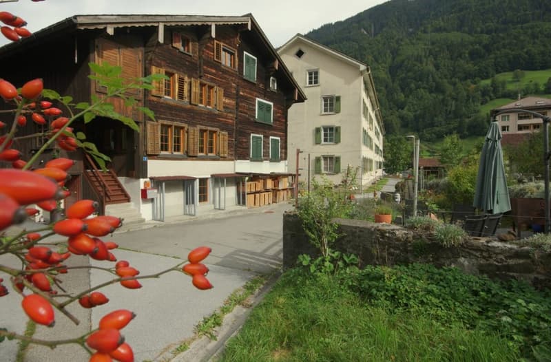 ALT UND DOCH MODERN (3)