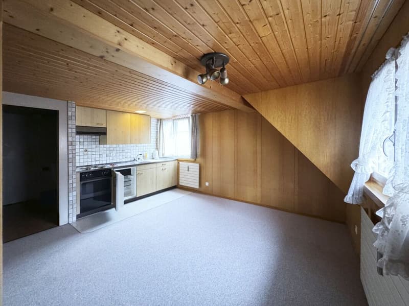 Kleine 2.0 Zi-Dachwohnung in der Altstadt, praktisch am Seeufer (250m) (11)