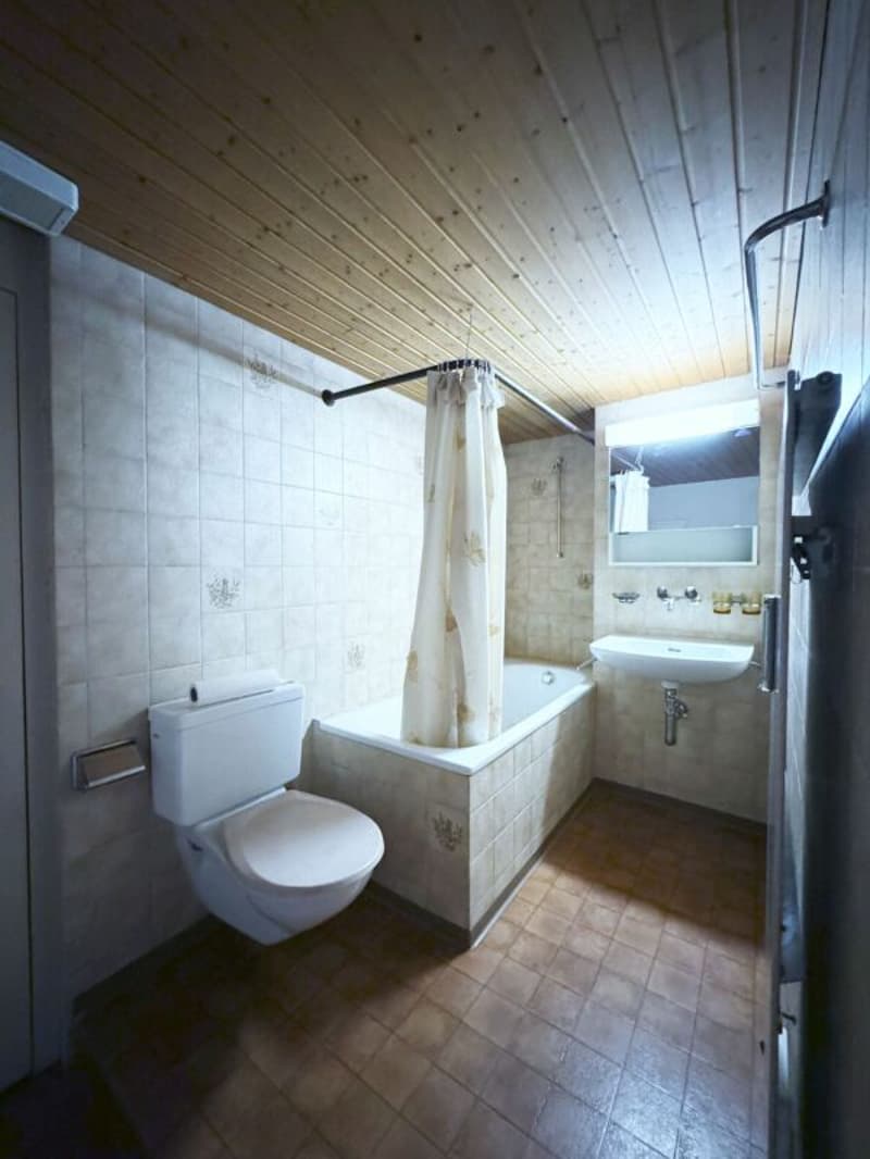 Kleine 2.0 Zi-Dachwohnung in der Altstadt, praktisch am Seeufer (250m) (2)