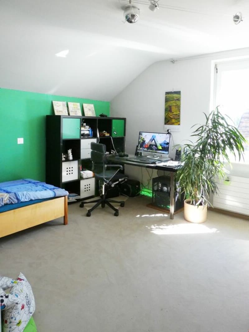 Zimmer DG 4 P1010619.jpg