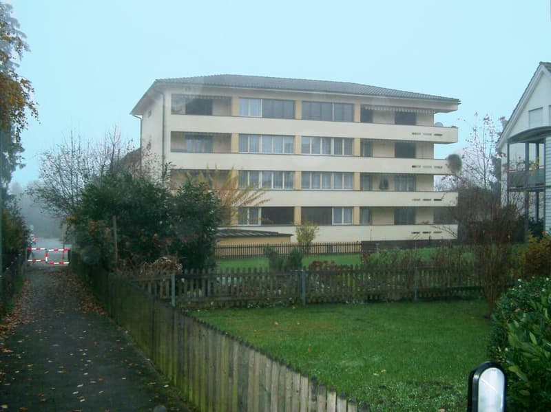 Helle und ansprechende 4½ Zimmer Wohnung (14)