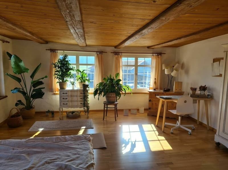 Noble and nostalgic - rustic living or like a holiday (18)
