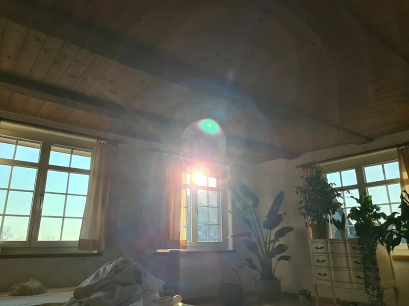 Noble and nostalgic - rustic living or like a holiday (15)