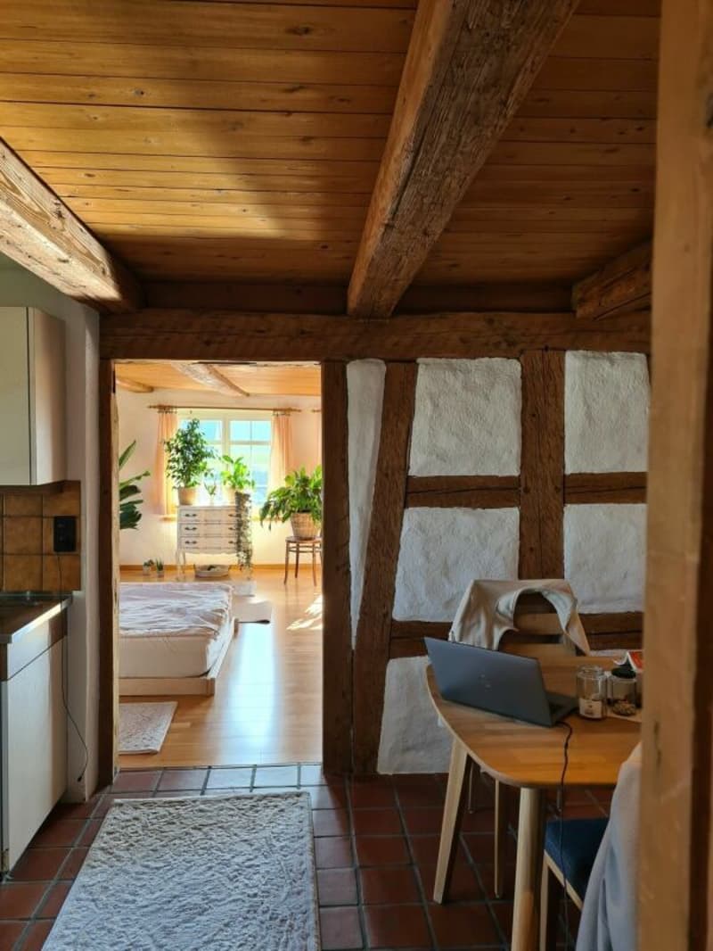 Noble and nostalgic - rustic living or like a holiday (17)