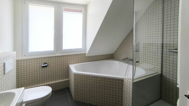 4-5½ Zimmer Maisonette-Dachwohnung (9)