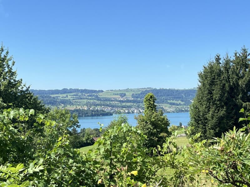 Deux propriétés avec une valeur de rareté et une vue sur le lac inobstructable ! (13)