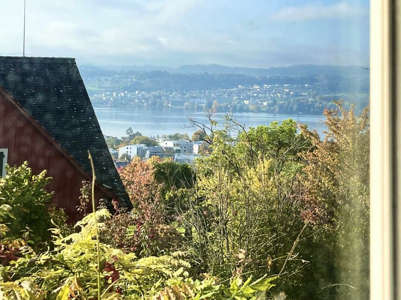 Deux propriétés avec une valeur de rareté et une vue sur le lac inobstructable ! (11)