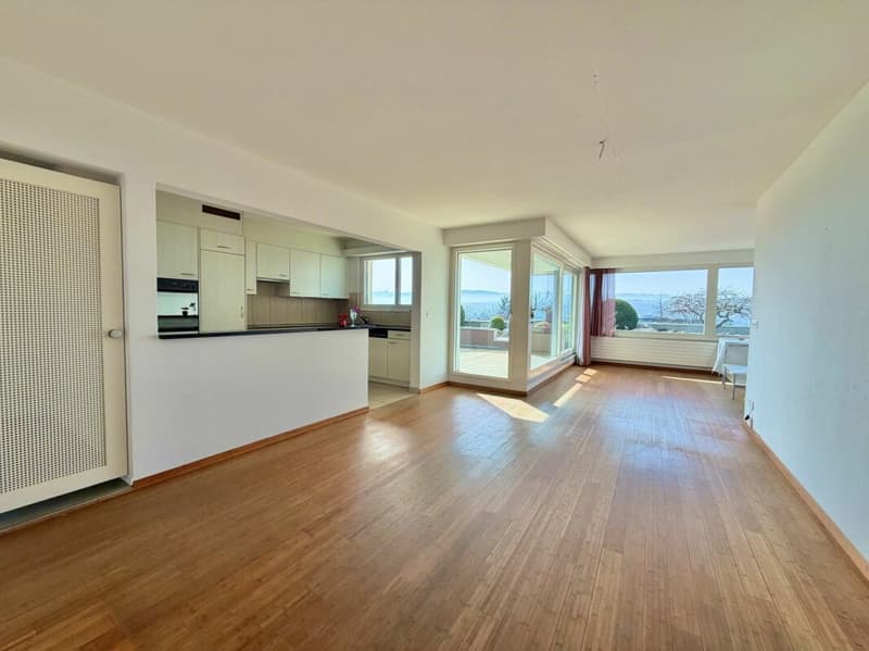 Appartement terrasse 4,5 pièces avec des extérieurs merveilleux et une vue imprenable ! (5)