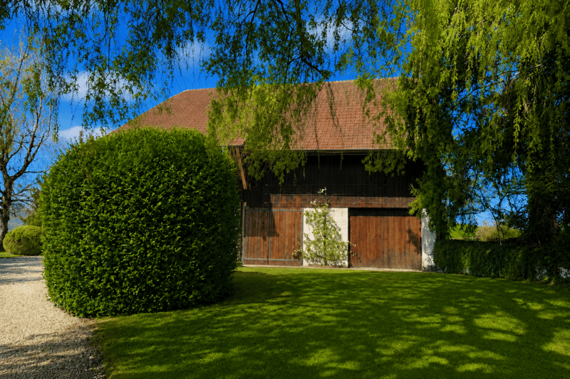 8.5-Room Country House with Outbuilding: An Oasis with Charm, Soul, and History! (12)
