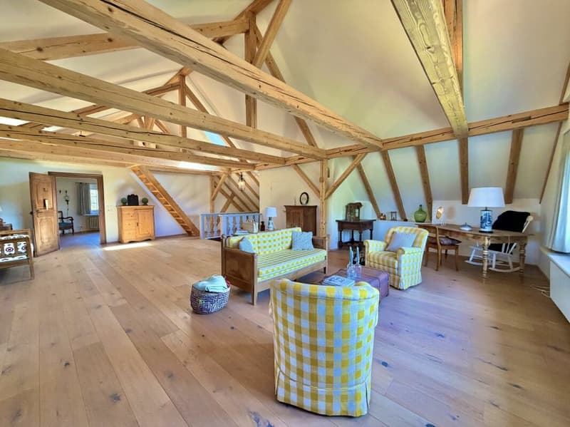 8.5-Room Country House with Outbuilding: An Oasis with Charm, Soul, and History! (8)
