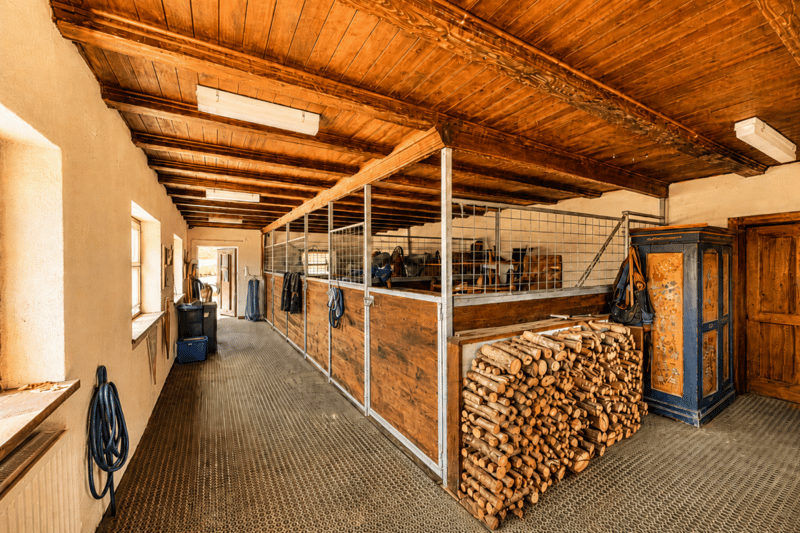 8.5-Room Country House with Outbuilding: An Oasis with Charm, Soul, and History! (13)