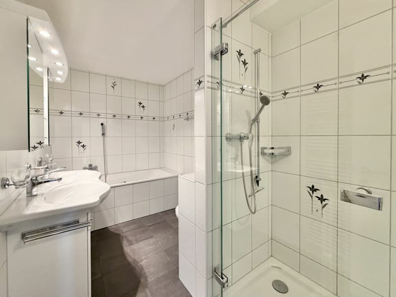 4.5-Zimmer-Terrassenwohnung mit herrlichen Aussenflächen und traumhafter Weitsicht! (8)