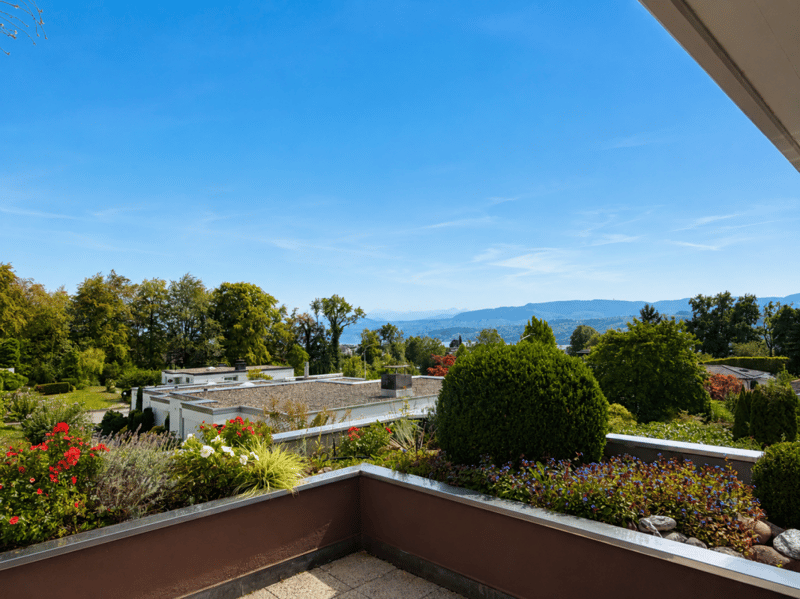 4.5-Zimmer-Terrassenhaus mit 180-Grad See- und Weitsicht! (4)