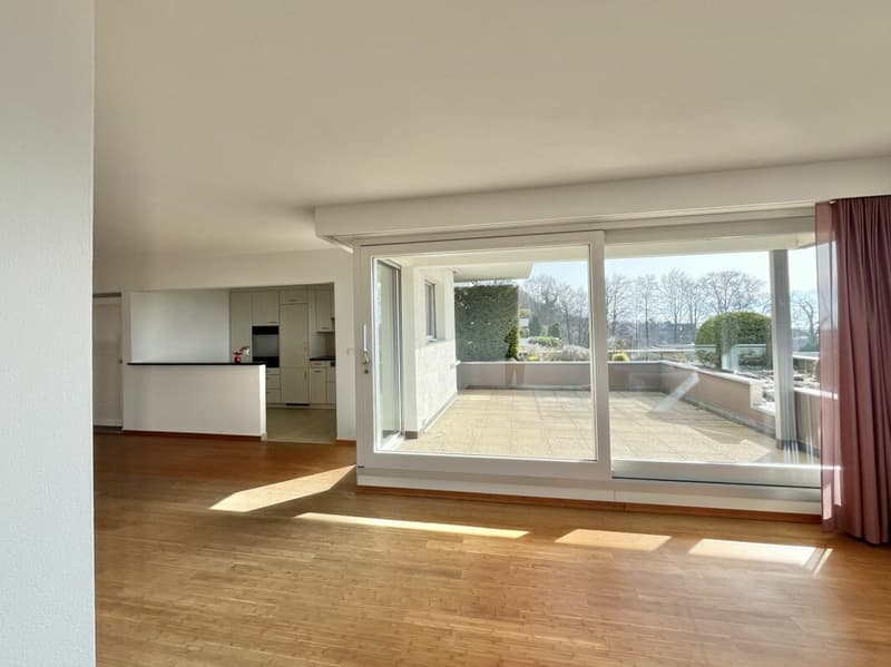 4.5-Zimmer-Terrassenhaus mit 180-Grad See- und Weitsicht! (5)