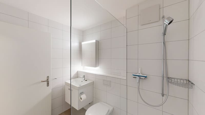 Bathroom with white tiles, mirror, sink, toilet, shower, glass door