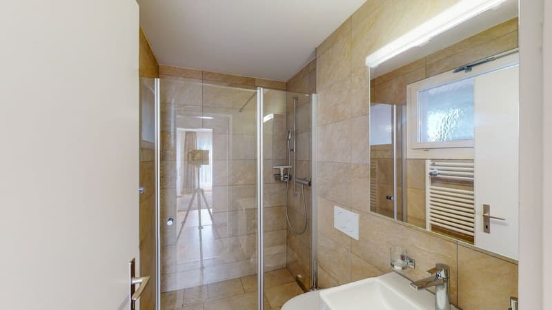 Bathroom with glass door, shower, toilet, sink, mirror, tiled walls, silver faucet, silver handrails, power outlet