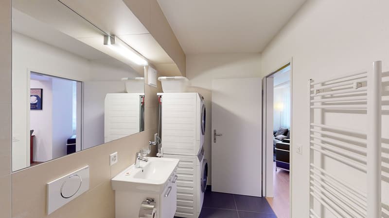white sink, mirror, radiator, white built-in washing machine