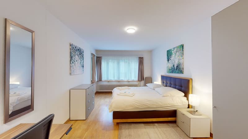 Elegant 3-Room Furnished Apartment in Prime Zürich Enge Location (14)