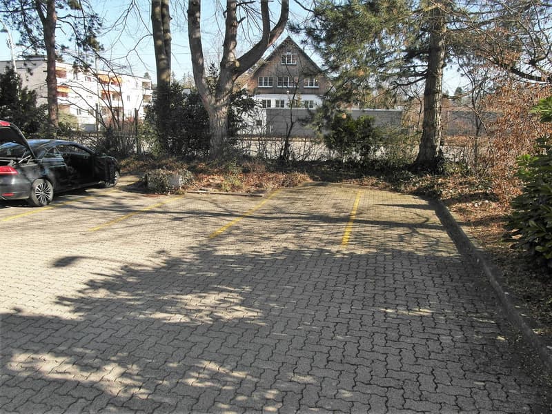 paved parking lot with yellow markings, surrounded by trees and bushes, with a car parked in the left corner, and a building in the background