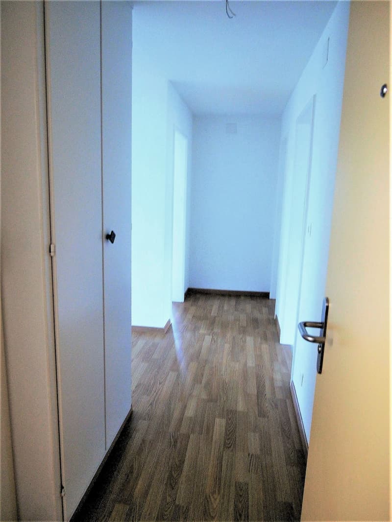 4.5-Zimmerwohnung im Hochparterre (4)