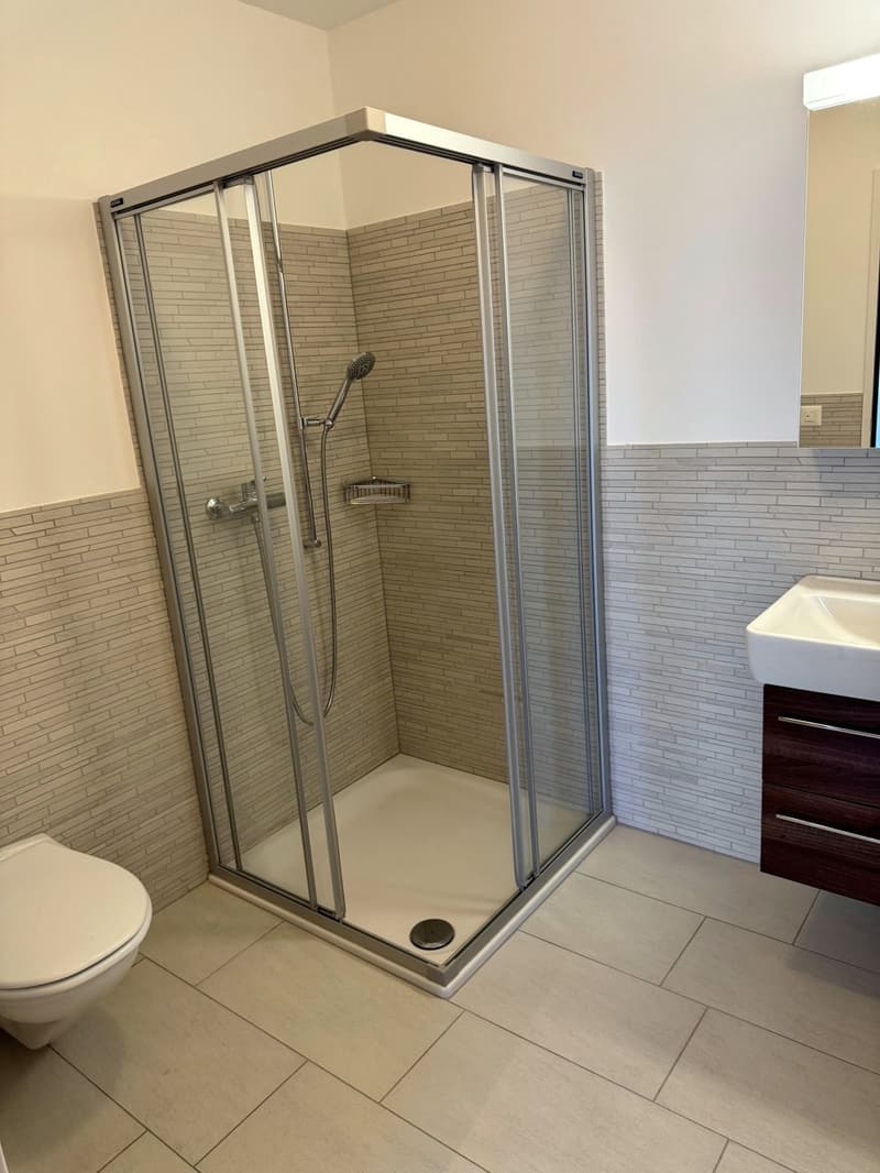 modern bathroom with walk-in shower, white toilet, white sink, tiled floor, tiled walls