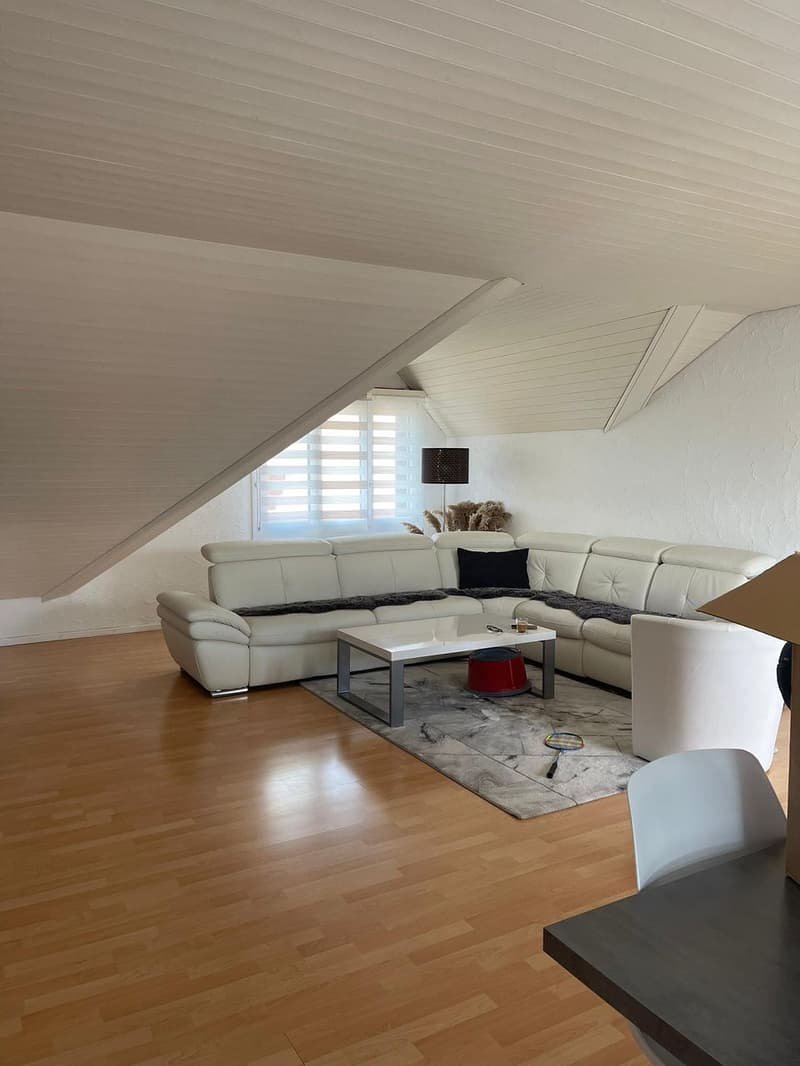 Beispile Wohnzimmer Dachwohnung