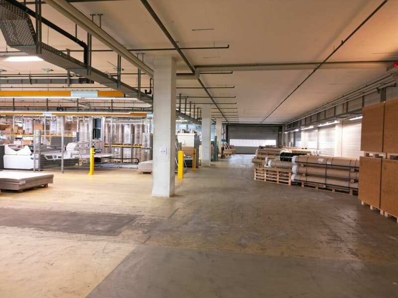 3'763m2 - Spazi di stoccaggio, logistica o produzione di alta qualità (10)