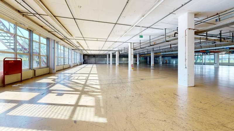 3'763m2 - Erstklassige Lager-, Logistik- oder Produktionsflächen (4)