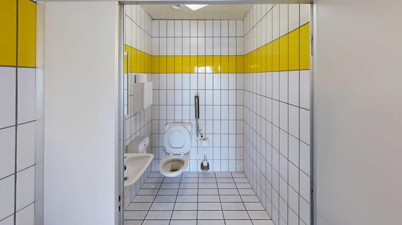 3'763m2 - Erstklassige Lager-, Logistik- oder Produktionsflächen (12)