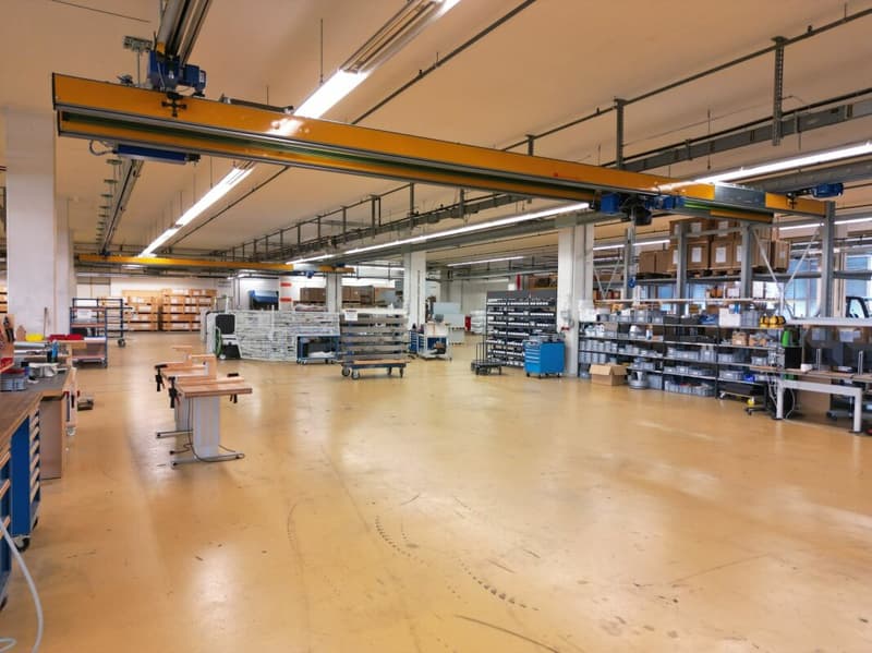 3'763m2 - Spazi di stoccaggio, logistica o produzione di alta qualità (3)